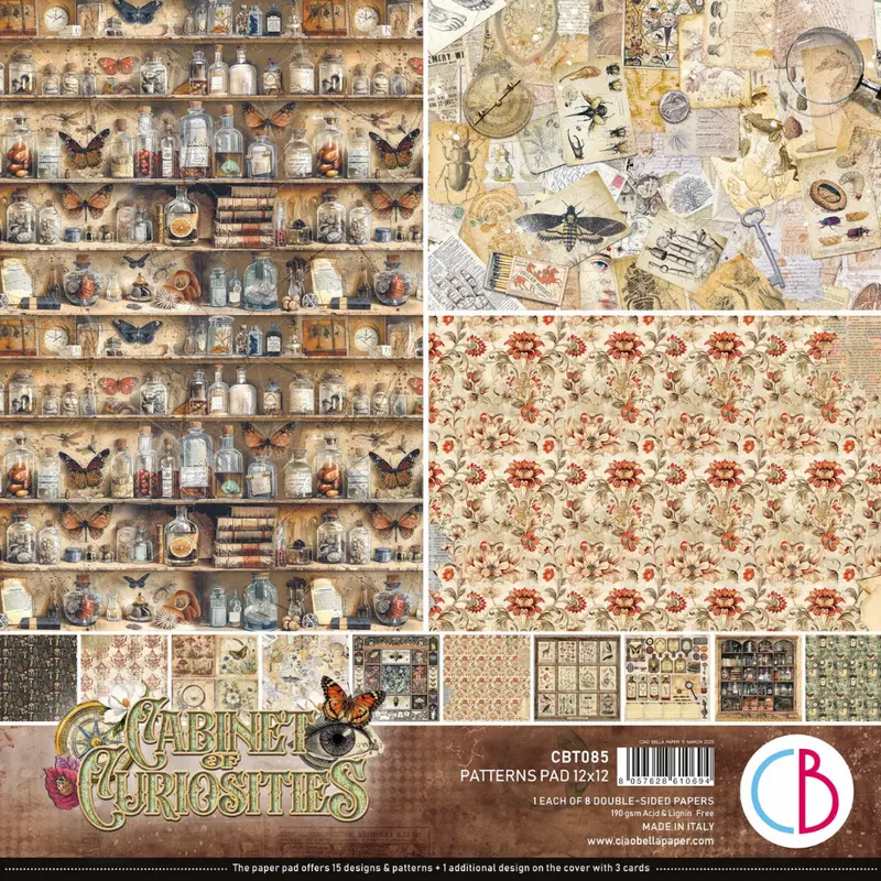 Cabinet Of Curiosities 12X12 Inch Patterned Paper Pad 1