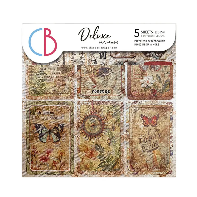 Cabinet Of Curiosities 6×6 Inch Pearl-Copper Deluxe Paper Pack – Premium Craft Paper Set 1