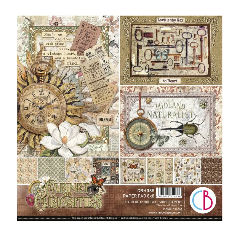 Cabinet Of Curiosities 8×8 Inch Paper Pad – Illustrated Craft Paper Collection 1