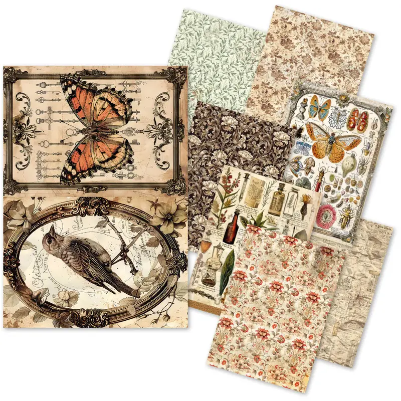 Cabinet Of Curiosities A5 Rice Paper Pack (8 Sheets) 1